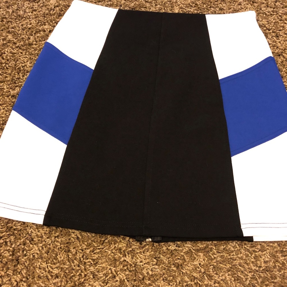 Skirt - Picture 3 of 3